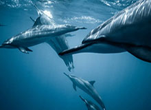 开云电竞-4轮3败怒斥球员懒惰 这回又该兰帕德走进危机了