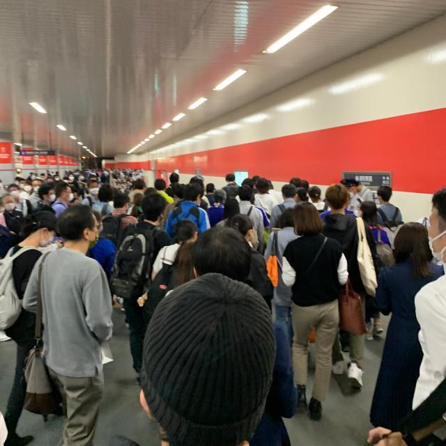 1634043466276046895.jpeg 8.jpeg